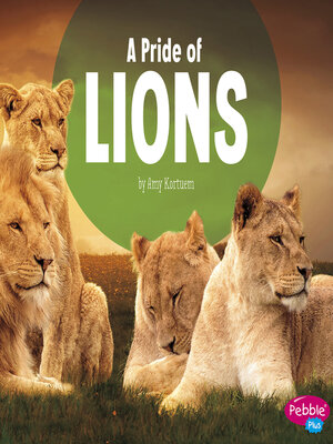 cover image of A Pride of Lions